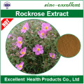 Cistus creticus extract Cistus ladanifer